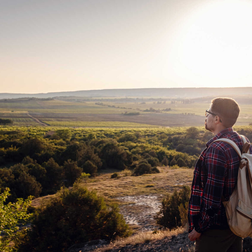 Quisque porta fringilla dolor,nec auctor orci